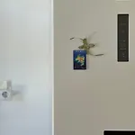 Stone Steps * סימי